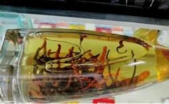 透露冬蟲夏草吃多久才能起到效果,一天吃幾根