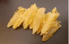 花膠的功效與作用與主治和功效是什么